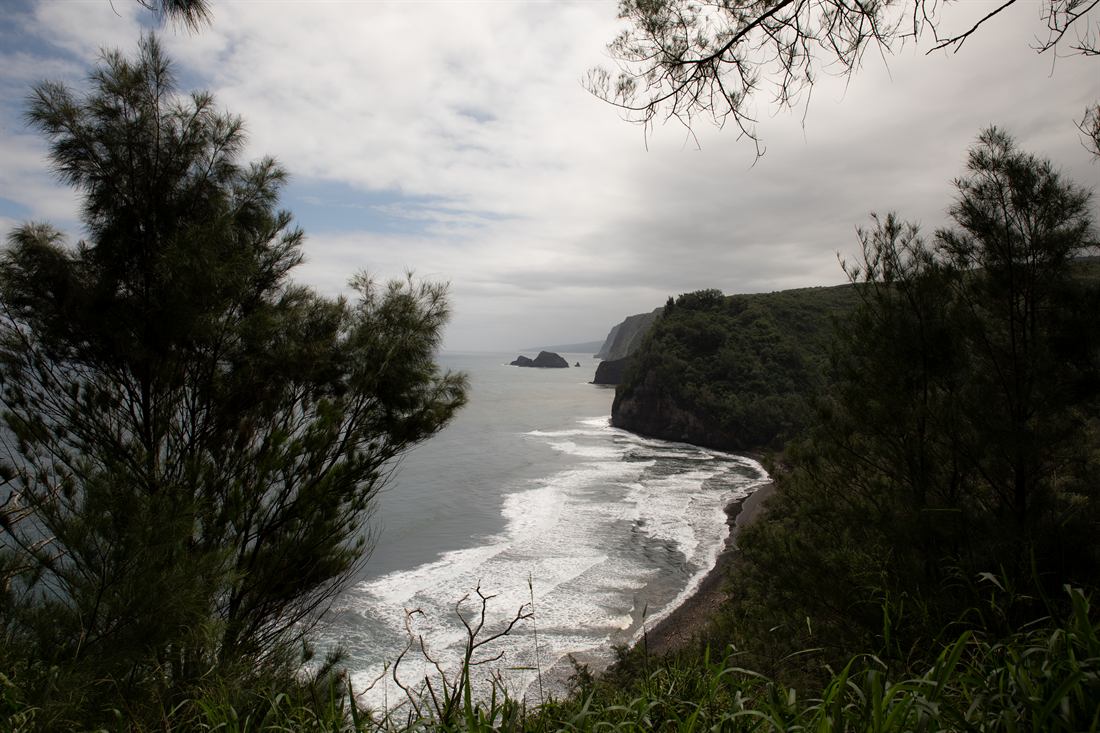 A rugged Hawaiian coastline framed by trees