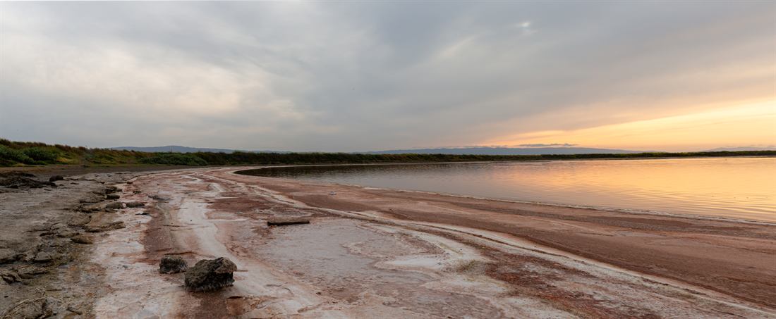 Wide panorama of a pink salt shoreline at sunset